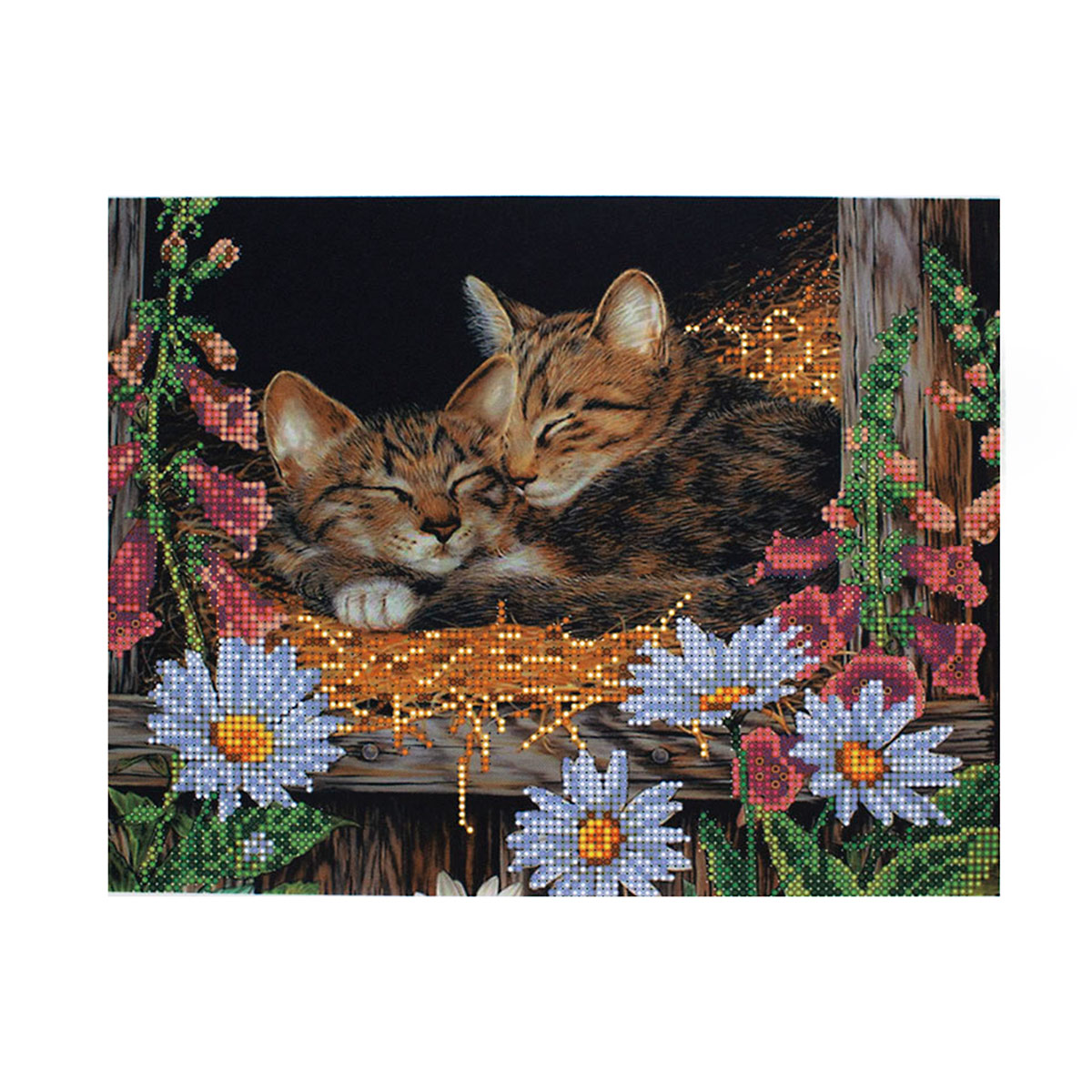 НР-3003 Канва с рисунком для вышивания бисером 'Спящие котята' Hobby&Pro 25*22см