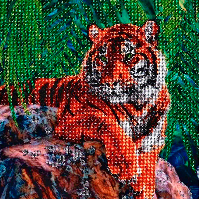 Царственная кошка – тигр