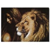 660 Набор для вышивания 'Царь зверей' 22*31см, Hobby&Pro
